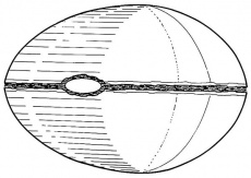 Torpedo Sphere.jpg